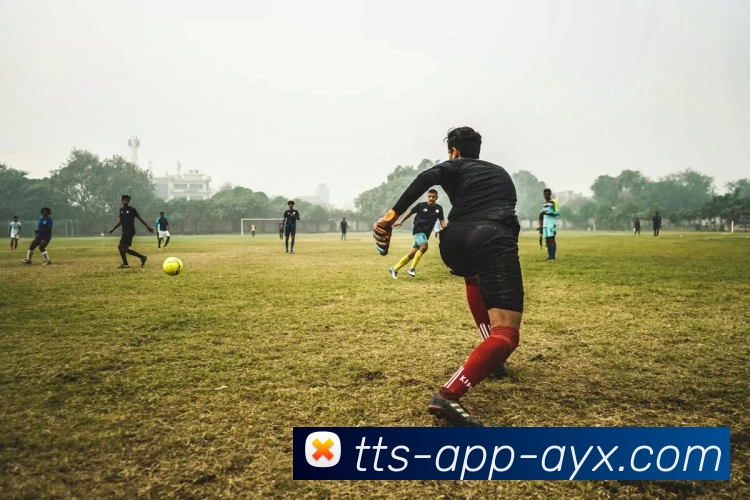 多媒体互动体验